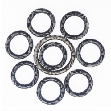 Weili Oil Seal Garter Spring